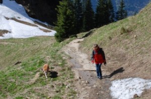chodzenie-po-gorach
