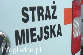 straz miejska auto straz miejska auto