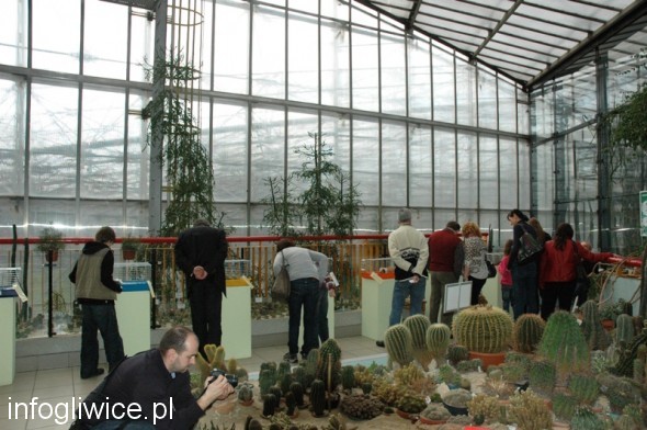 Palmiarnia_wystawa_2011