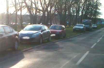 Parkują na trawniku. „Przerost kasy nad rozumem?” parking ete430