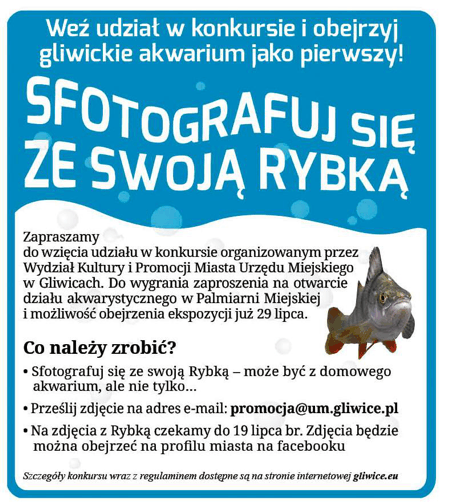 akwarium_konkurs_duze