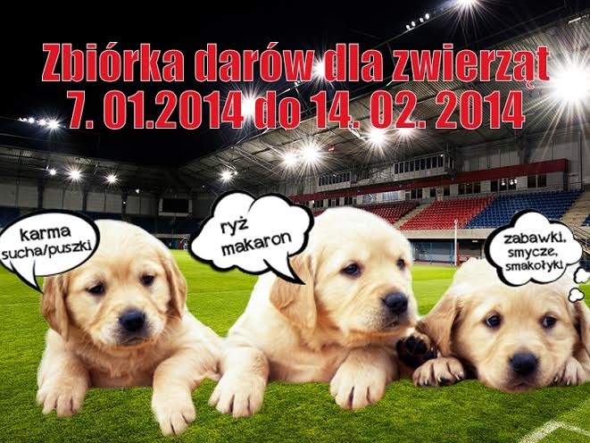 zbiorka psy zbiorka psy