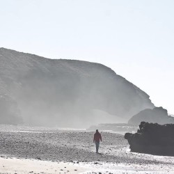 1978689 602227603185155 1260650257 n