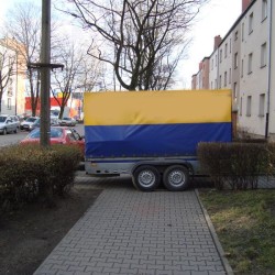 mistrz7