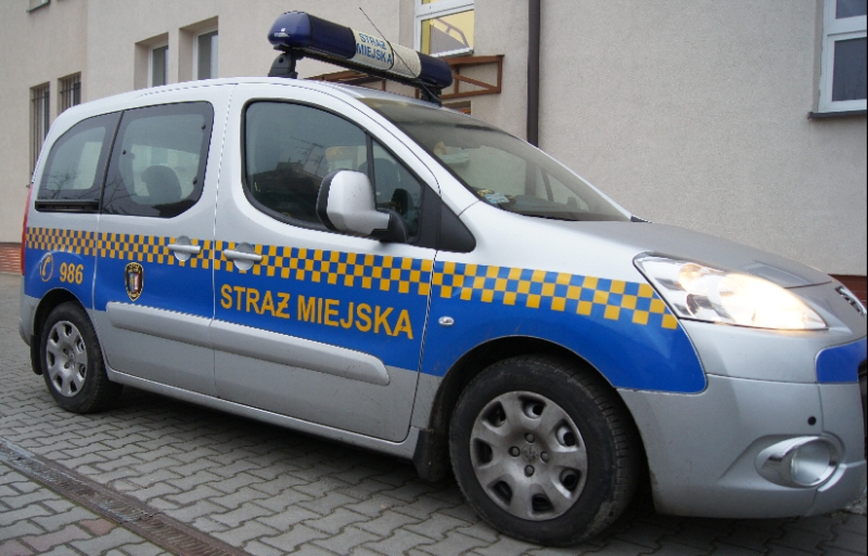 Ile razy straż miejska pouczyła, a ile wypisała mandat? Zdziwicie się straz0miejska