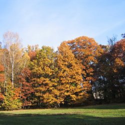 a60c9259c973841a5d26075d16a21f1b