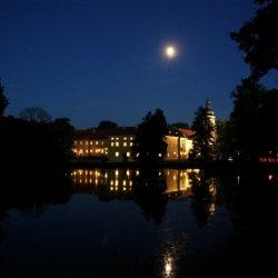 bd9f7ce09a30d765f94b9d6c3a46ab77