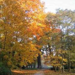 dbb1e761456e22db9e33f61d279ed2dd