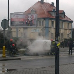 10917517 800771300010577 160212294 n