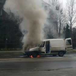 11004931 800771210010586 1256009789 n