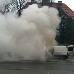 11007526 800771283343912 1745458787 n