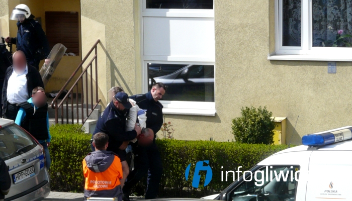 zatrzymany sosnica1 zatrzymany sosnica1