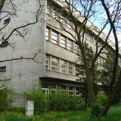 DSC06565
