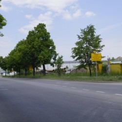 DSC6178 600x340 Copy 1