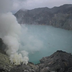 12742305 999317020142876 4716117986760774790 n