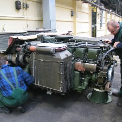 pierwsze Leo 2016 24