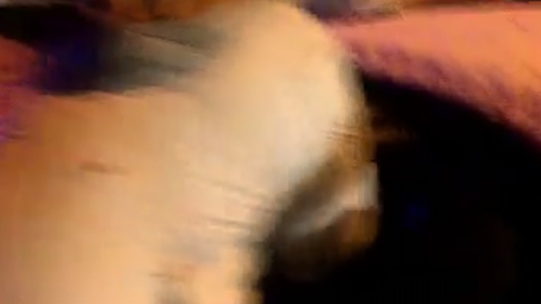 Gliwiczanin zatrzymał pijanego kierowcę. Wyciągnął go z samochodu FILM