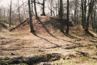 Grodzisko stożkowate w Pniowie, fot. E. Tomczak