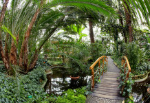 Szukasz pracy? MZUK szuka pracowników palmiarnia mzuk2