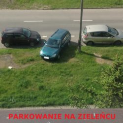 parkowanienazielecu