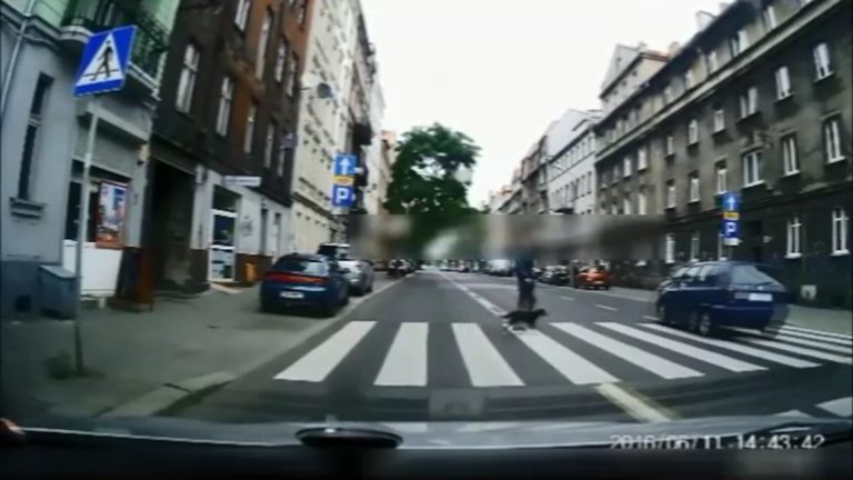 Policja każdego dnia dostaje takie nagrania. Piraci drogowi w akcji