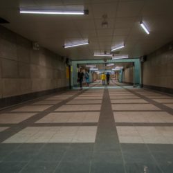 13754141 1225352987499511 744537989424021128 n