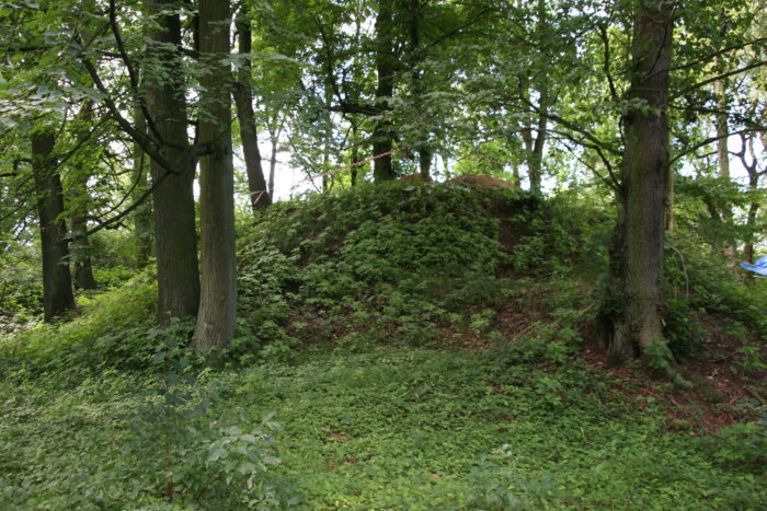 Gród od północy, fot. arch. Muzeum w Gliwicach