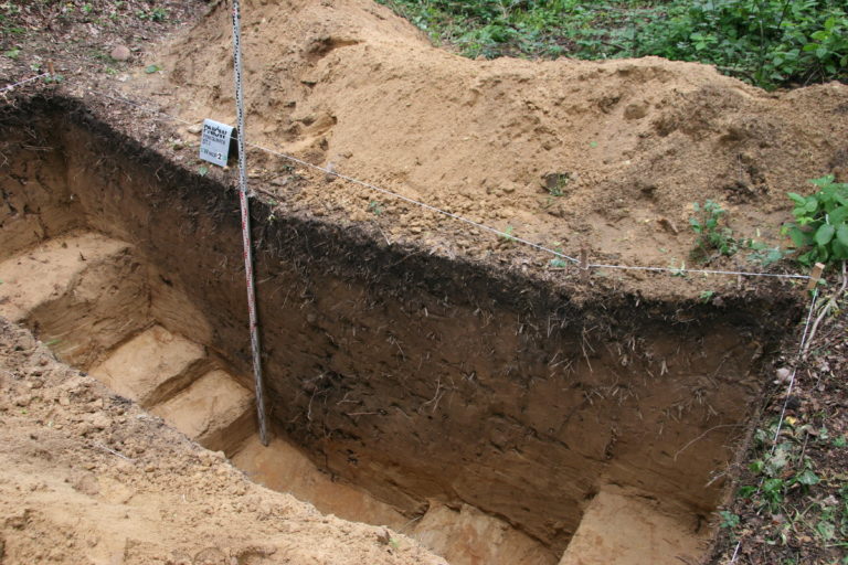 Niezwykłe odkrycie archeologiczne pod Gliwicami