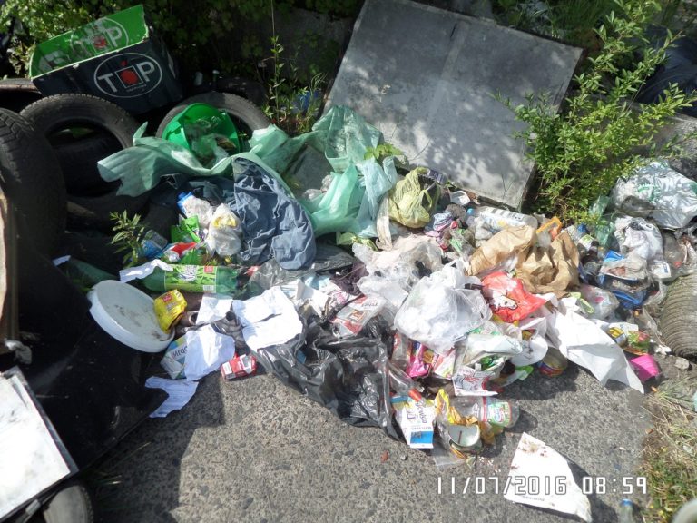 Zaśmiecała pobocze. Zapłaciła mandat i musiała posprzątać