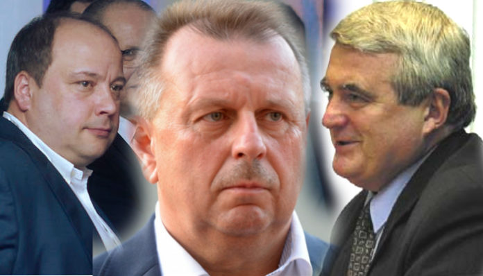 kaluza jaworski ogryzek