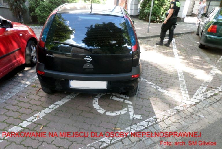 Sierpniowi mistrzowie parkowania – zdjęcia