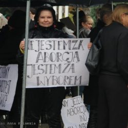 14435409 1536705789688637 6386489569511399061 o