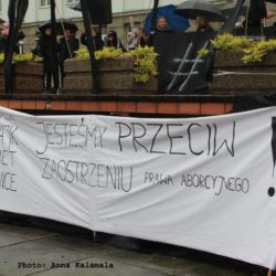 14500464 1536700976355785 6345916078827038761 o