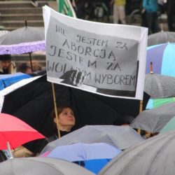 14542595 1536704126355470 4281727589992669400 o