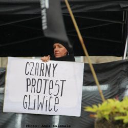 14589591 1536698526356030 7673026311095187558 o