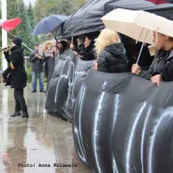 14589666 1536706369688579 6321628332107453449 o