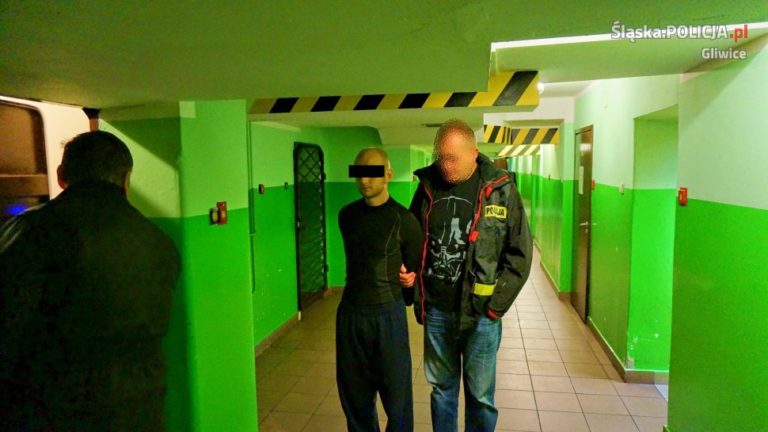 Sąd aresztował tymczasowo podejrzanego o kradzieże samochodów w Gliwicach