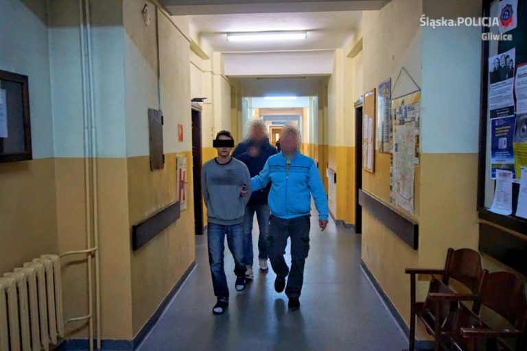 Zatrzymano kolejnych złodziei samochodów