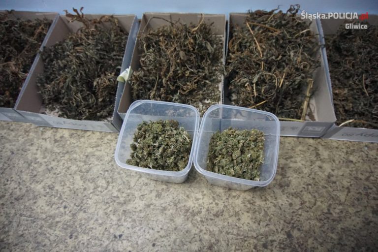 Ty trzymasz tam jedzenie, on schował tam narkotyki