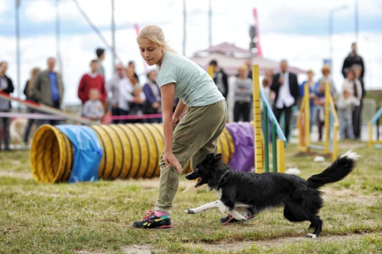 Pobiegnij razem z psem – pierwszy raz w Gliwicach