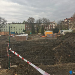 opolska witkiewicza2