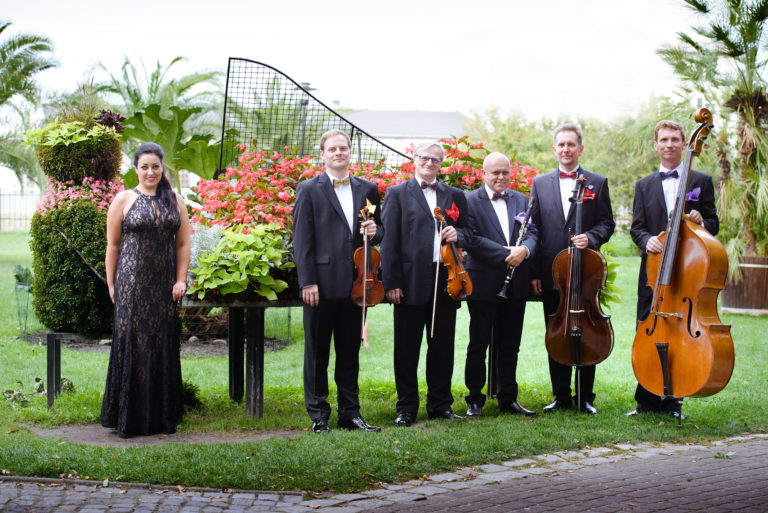 Eleganza, czyli koncert Zespołu Muzyki Salonowej