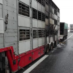 IMG 20170124 094626 1024x575