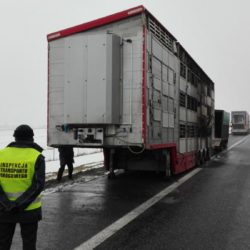 IMG 20170124 094829 1024x575