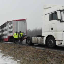 IMG 20170124 094911 1024x575