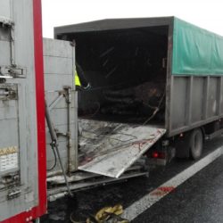 IMG 20170124 095320 1024x575