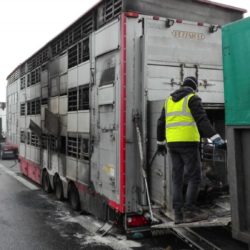 IMG 20170124 095331 1024x575