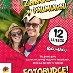 resizedimage500707 fotobudka2