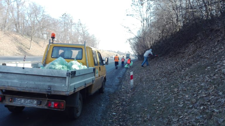 Rozpoczęło się sprzątanie po zimie. Znaleziono: 3 martwe dziki, umywalki i opony