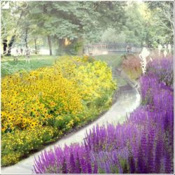 17362400 1477114358990038 7162691522565383626 n